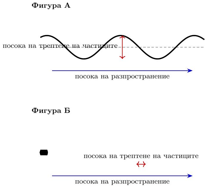 {Илюстрация на два вида вълни по пружина. Фигура А показва напречна вълна - пружината се движи нагоре-надолу, а вълната се движи напред. Фигура Б показва надлъжна вълна - пружината се свива и разпъва по същата ос, по която се движи вълната.}