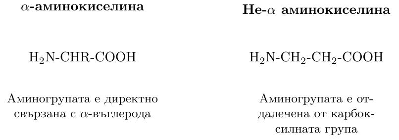 Схема, съдържаща две ясни химически структурни формули, поставени една до друга за директно сравнение на позицията на аминогрупата.

1.  **Лява страна (Алфа-аминокиселина):** Показва общата формула на \(\alpha\)-аминокиселина като \(\text{H}_2\text{N-CHR-COOH}\). Структурата е представена линейно, с централен въглероден атом (алфа-въглерод). Аминогрупата (\(\text{H}_2\text{N-}\)) е директно свързана с този алфа-въглерод. Алфа-въглеродът е също свързан с водороден атом (\(\text{-H}\)), с радикал (\(\text{-R}\)) и с карбоксилна група (\(\text{-COOH}\)). Ясно е подчертана директната връзка на аминогрупата и карбоксилната група към един и същи централен (алфа) въглероден атом.

2.  **Дясна страна (Не-алфа аминокиселина):** Показва обща формула на аминокиселина, където функционалната аминогрупа е разположена на различен въглероден атом, пример за която е \(\text{H}_2\text{N-CH}_2\text{-CH}_2\text{-COOH}\). Структурата е представена линейно: аминогрупа (\(\text{H}_2\text{N-}\)) е свързана с първи въглероден атом (\(\text{-CH}_2-\)), който е свързан с втори въглероден атом (\(\text{-CH}_2-\)), който накрая е свързан с карбоксилна група (\(\text{-COOH}\)). Визуално е подчертано, че аминогрупата е отдалечена и не е свързана директно с въглеродния атом, съседен на карбоксилната група (т.е., не е алфа-аминокиселина).

Двете формули са подравнени по хоризонтала и използват стандартни химически символи и чертички за връзки, без излишни детайли, за максимална яснота.