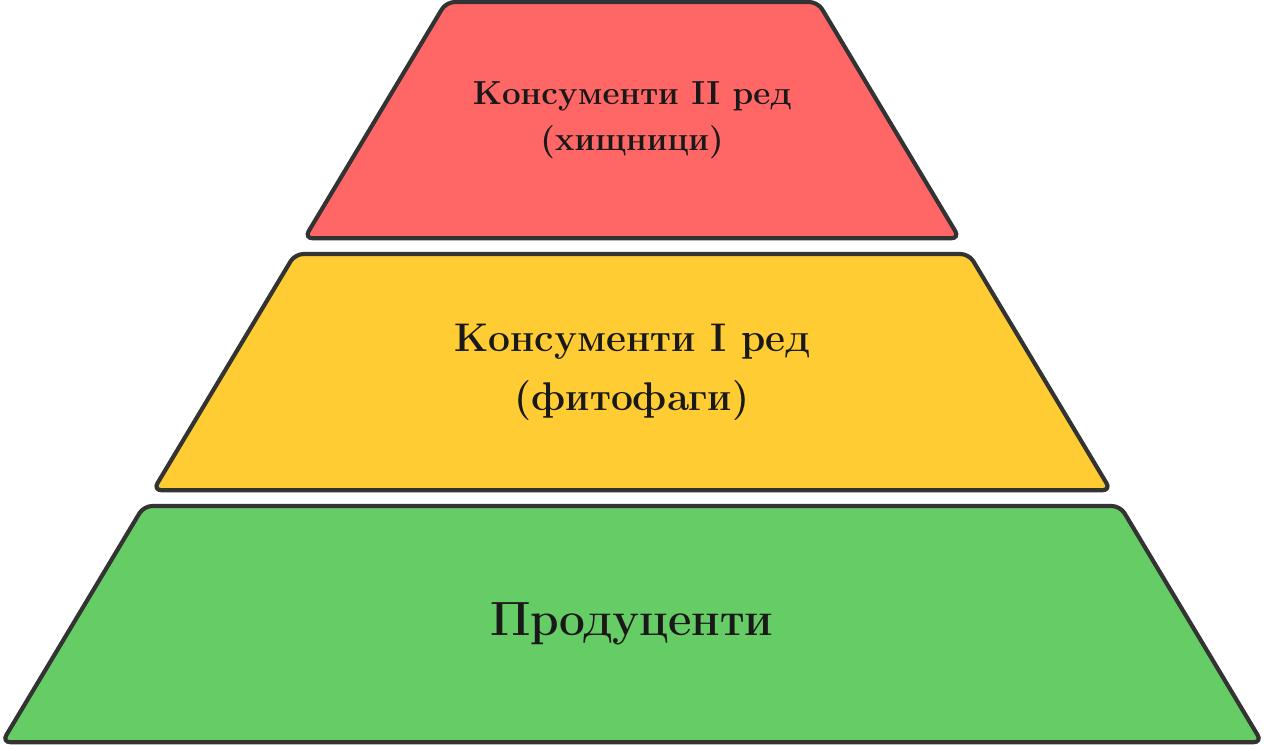 Изображение на екологична пирамида, състояща се от три хоризонтално центрирани и вертикално подредени стъпала (трапецовидни нива). Всички стъпала са с еднаква височина.
Най-долното стъпало е с най-голяма ширина и е етикетирано като 'Продуценти'.
Средното стъпало е разположено над долното, значително по-тясно е от него и е етикетирано като 'Консументи I ред (фитофаги)'.
Най-горното стъпало е най-тясно от всички, разположено е над средното и е етикетирано като 'Консументи II ред (хищници)'.
Всяко следващо стъпало нагоре по пирамидата е видимо по-тясно от предходното, нагледно илюстрирайки прогресивната загуба на биомаса и енергия във всяко следващо трофично ниво.