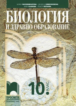 Просвета