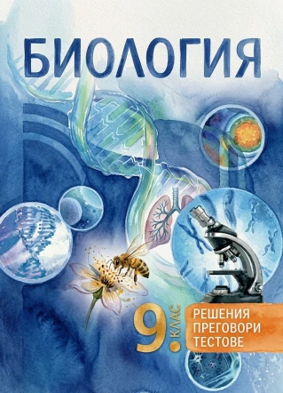 Просвета